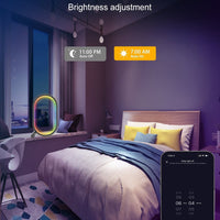 Smart RGB Ambience Light – Buy Online at dealvoro UAE